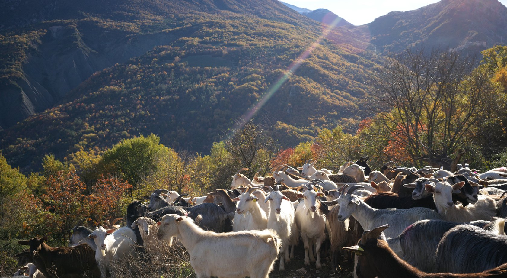 La porta dei parchi, sýry, abruzzo