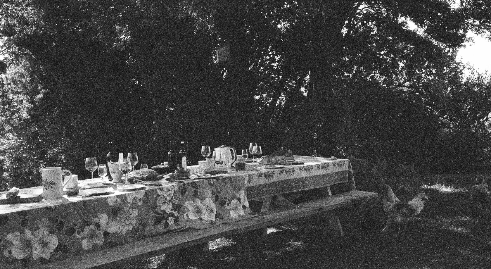 Lunch, Tuscany, San Polino, wines, Italian countryside