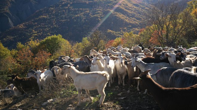 La Porta dei Parchi, Abruzzo, sýry