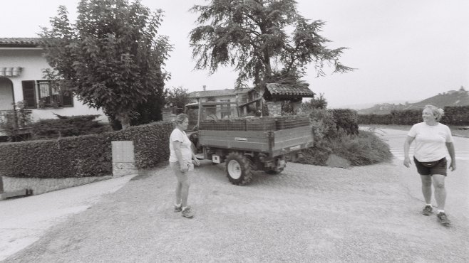 Cigliuti, Barbaresco, vína, piemonte