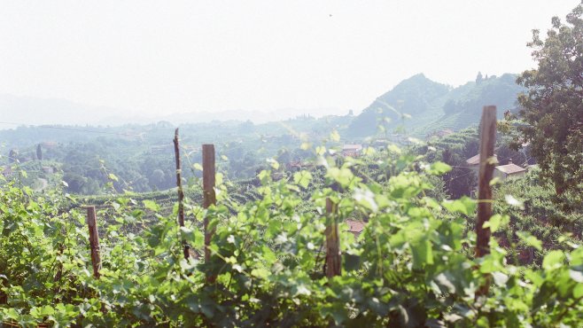Drusian, valdobbiadene, prosecco, vína, veneto