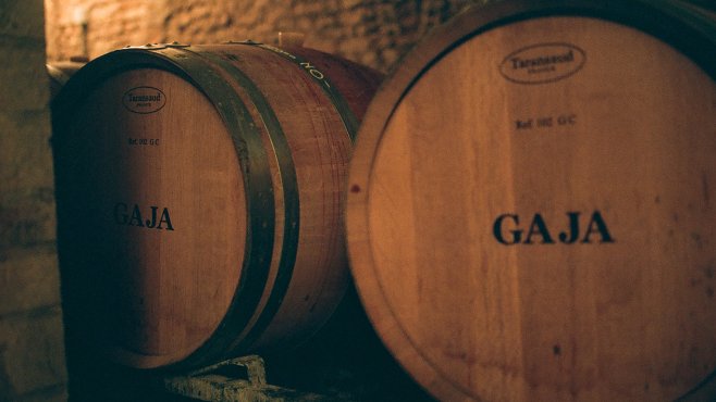 Gaja, vína, Piemonte, barbaresco