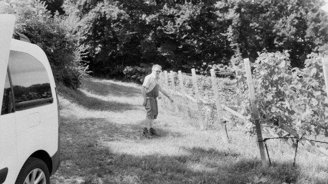 Ignaz Niedrist, vína, Alto Adige