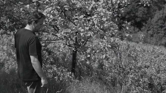Primosic, ribolla gialla, oslavia, vína, friuli venezia giulia
